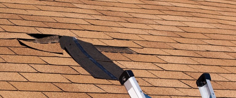 Professional Roof Maintenance Services: Preserving Your Roof’s Integrity