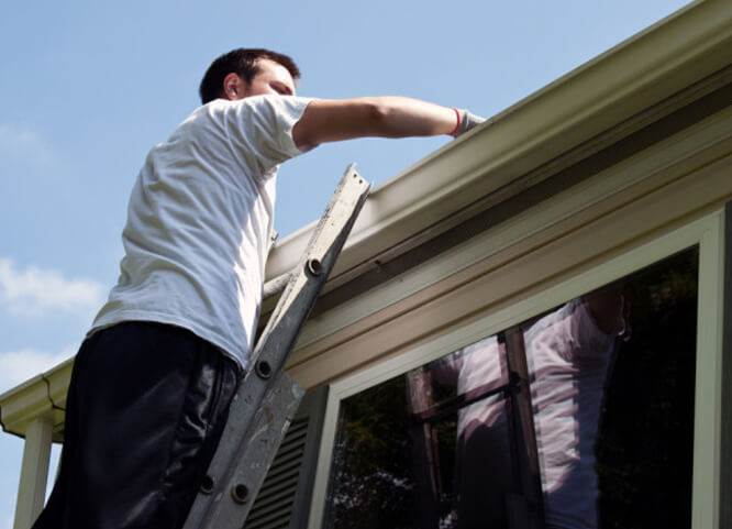 Cleaning and Inspection roof