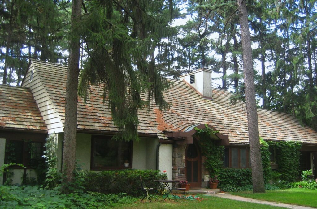 Removing Debris off roof